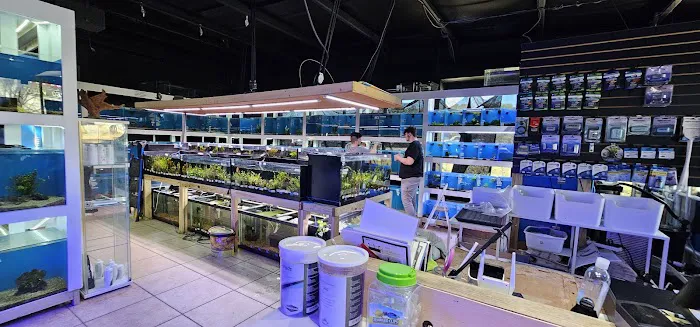 Upscale Aquatics Picture 4