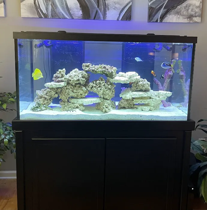 Upscale Aquatics Picture 3