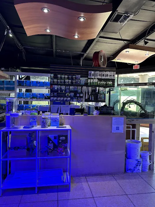 Upscale Aquatics Picture 2