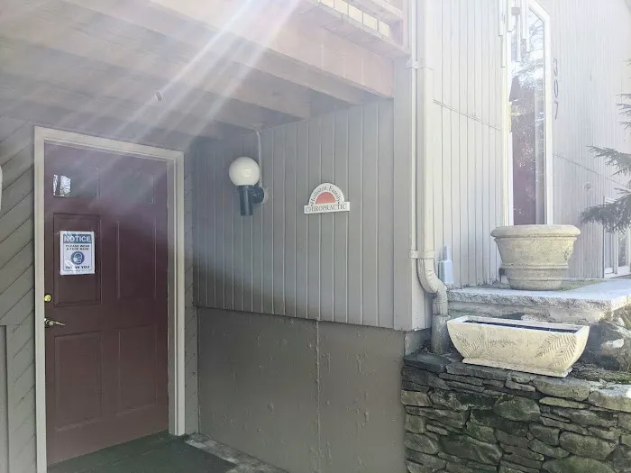 Baystate Animal Chiropractic Picture 3