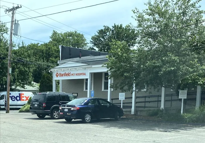 Banfield Pet Hospital Picture 6