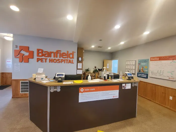 Banfield Pet Hospital Picture 7