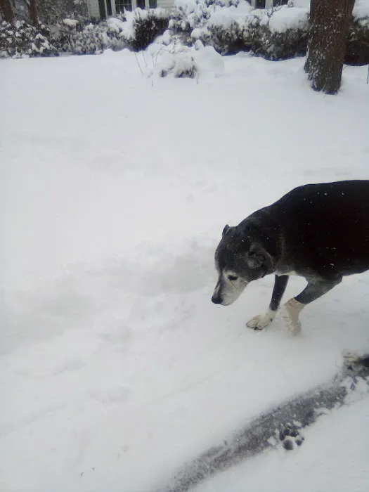 Banfield Pet Hospital Picture 4