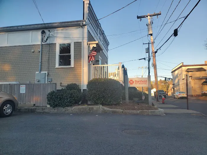 Banfield Pet Hospital Picture 2