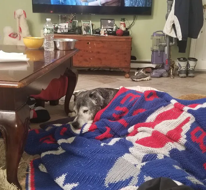 Banfield Pet Hospital Picture 1