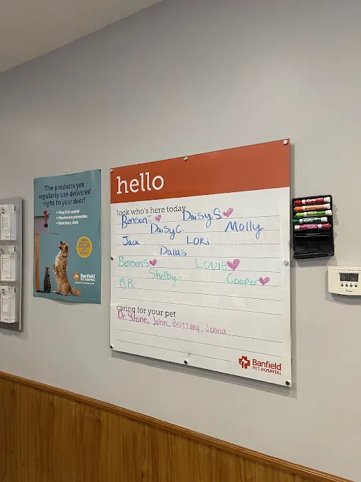 Banfield Pet Hospital Picture 8