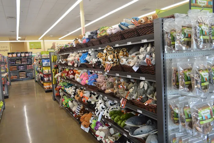 Hollywood Feed Picture 6