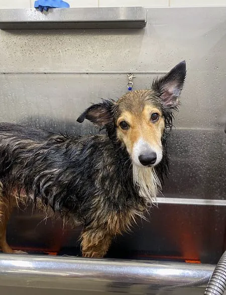 Hollywood Feed Picture 4