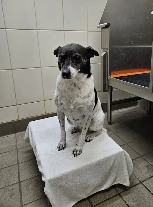 Hollywood Feed Picture 2