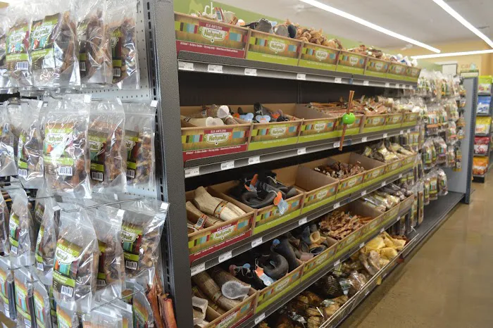 Hollywood Feed Picture 7