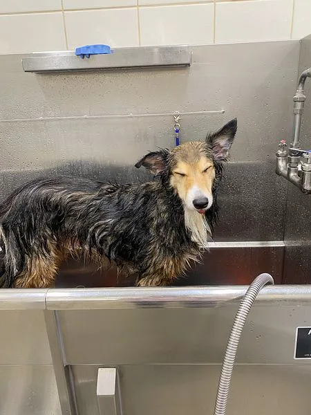 Hollywood Feed Picture 3