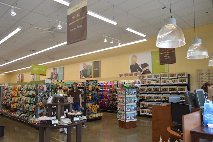 Hollywood Feed Picture 5