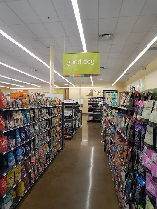 Hollywood Feed Picture 1