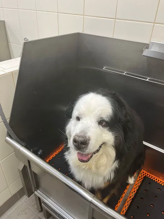 Hollywood Feed Picture 9