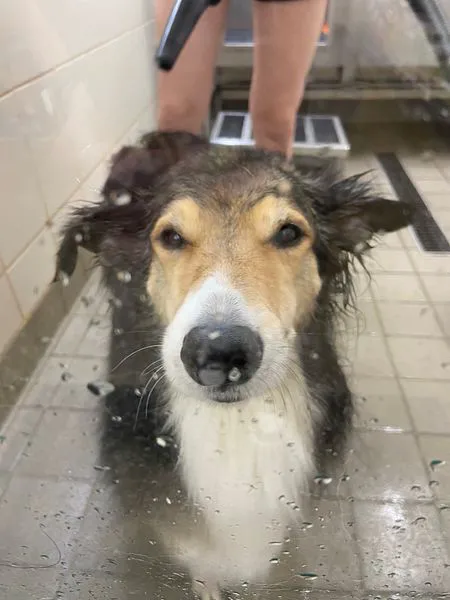 Hollywood Feed Picture 8