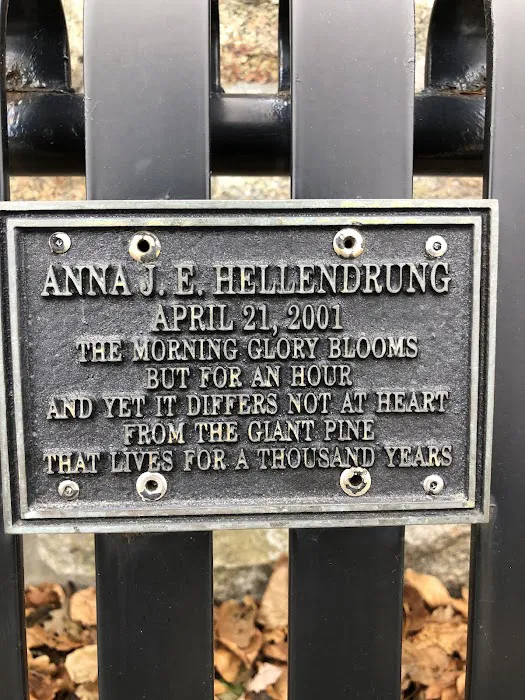 Equine Therapies Picture 2