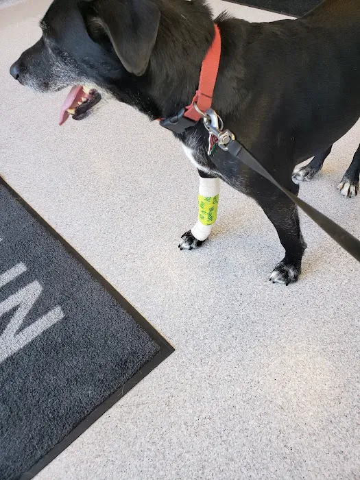 Franklin Veterinary Clinic Picture 4