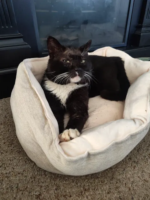 Franklin Veterinary Clinic Picture 2