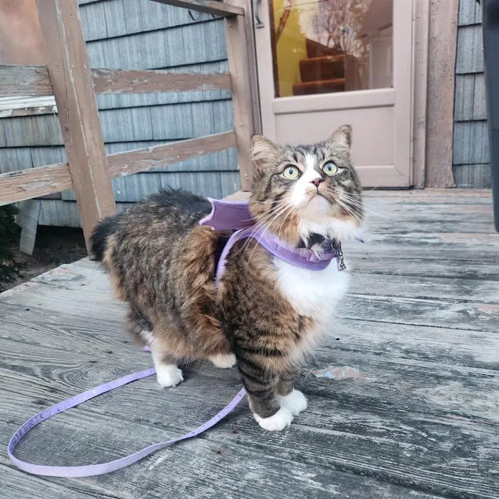 Franklin Veterinary Clinic Picture 7