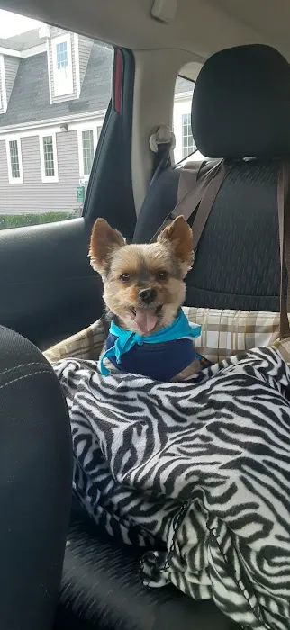 Franklin Veterinary Clinic Picture 6