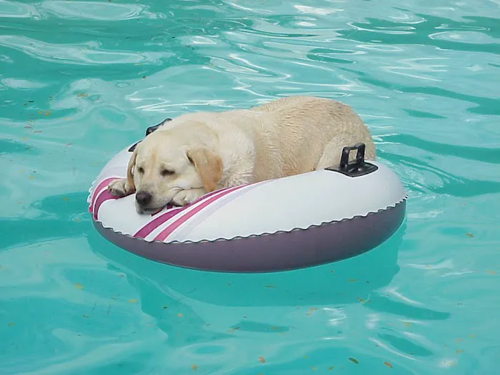 Franklin Veterinary Clinic Picture 5