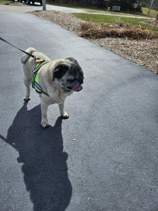 Franklin Veterinary Clinic Picture 3