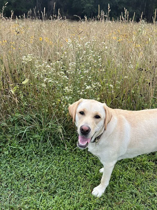 Franklin Veterinary Clinic Picture 1