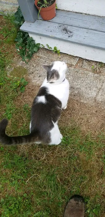 Franklin Veterinary Clinic Picture 9