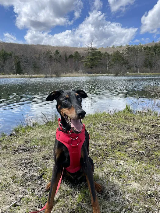 Franklin Veterinary Clinic Picture 10