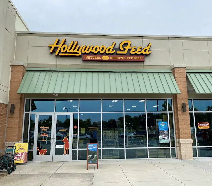 Hollywood Feed Picture 10