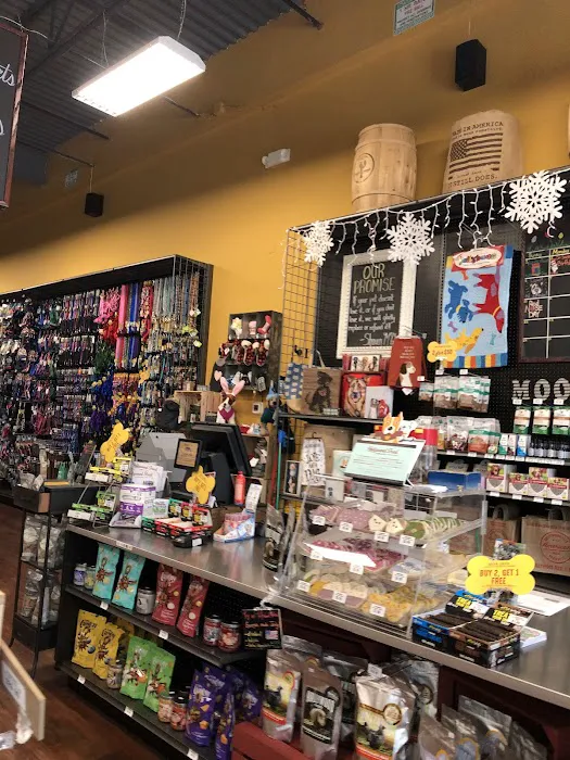 Hollywood Feed Picture 6