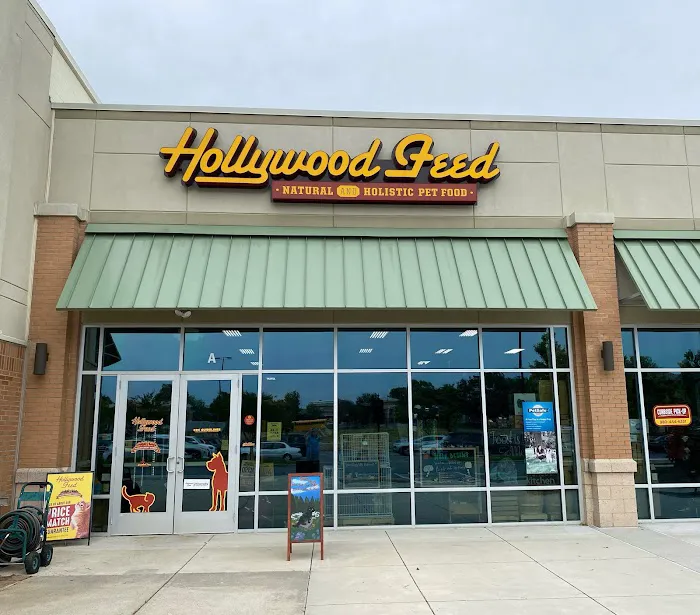 Hollywood Feed Picture 1