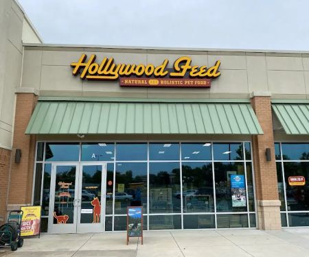 Hollywood Feed