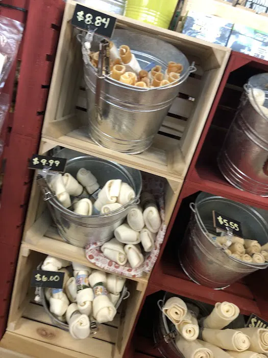 Hollywood Feed Picture 4