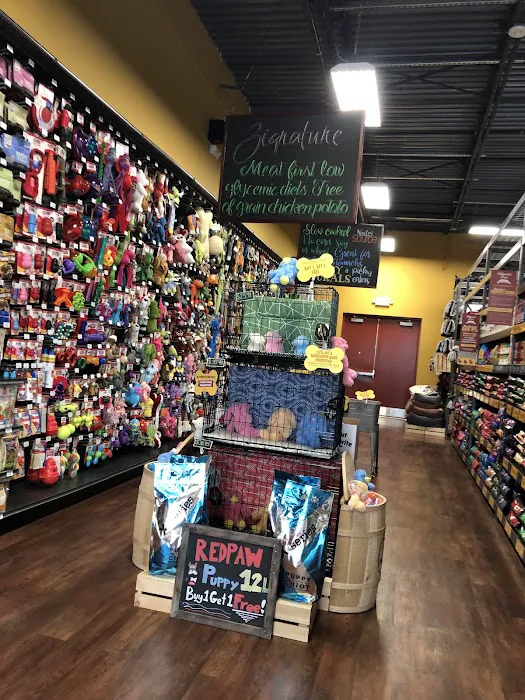 Hollywood Feed Picture 3