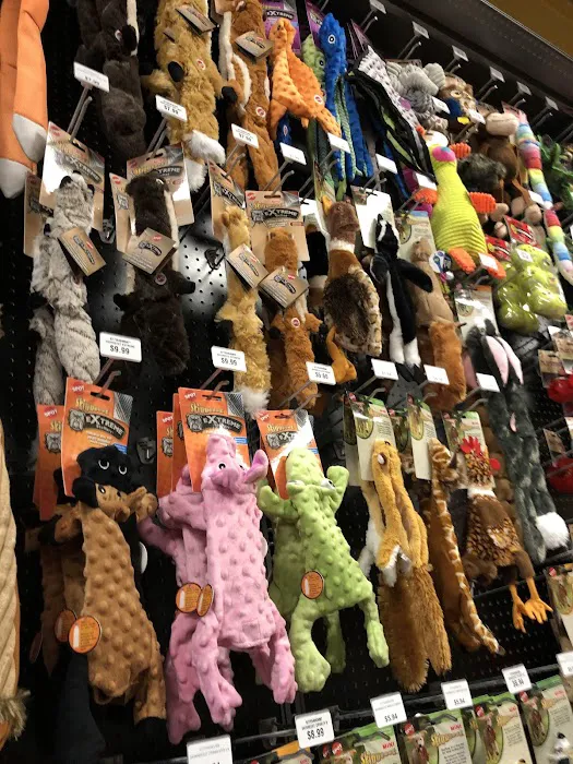 Hollywood Feed Picture 9