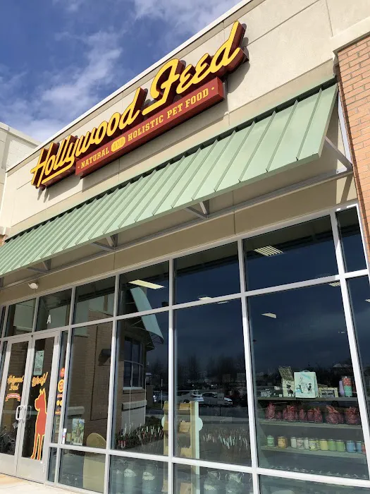 Hollywood Feed Picture 7