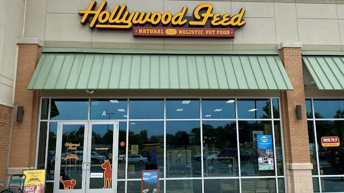 Hollywood Feed Picture 8