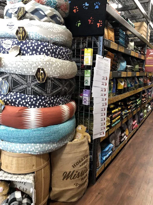 Hollywood Feed Picture 5