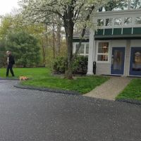 Acorn Animal Hospital ico