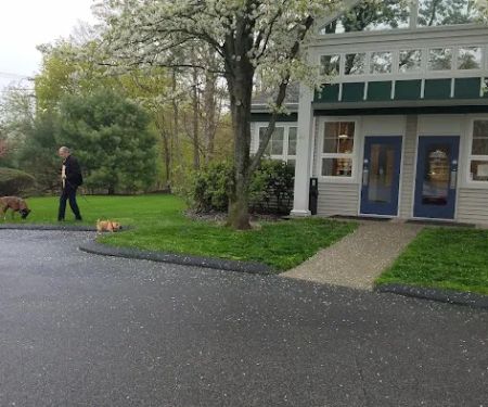 Acorn Animal Hospital