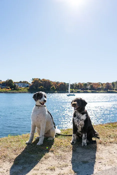 Acorn Animal Hospital Picture 3