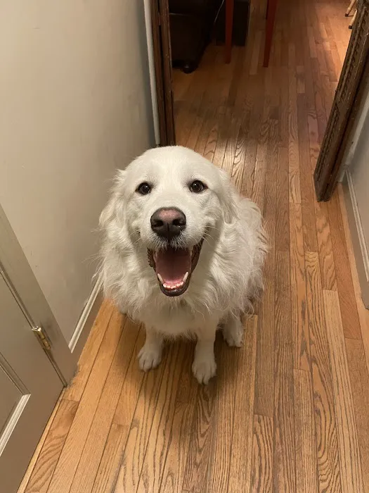 Acorn Animal Hospital Picture 2