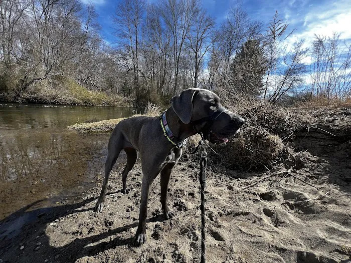 Acorn Animal Hospital Picture 10