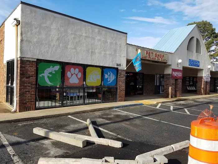 Last Place On Earth Petshop Picture 2