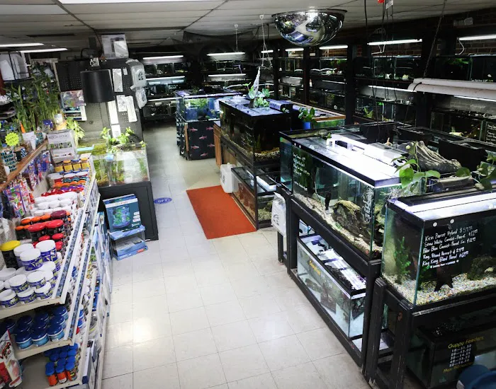 Last Place On Earth Petshop Picture 4