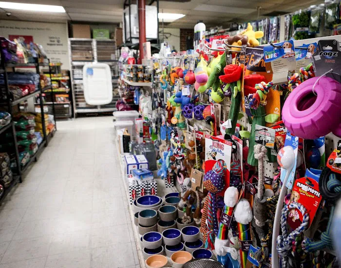 Last Place On Earth Petshop Picture 5