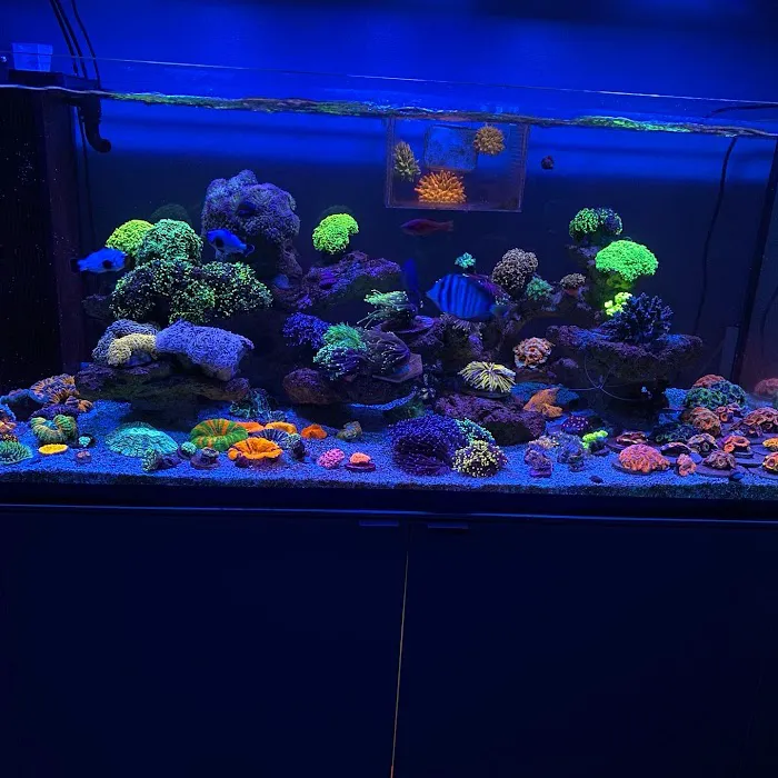 TRSCAquatics Picture 4