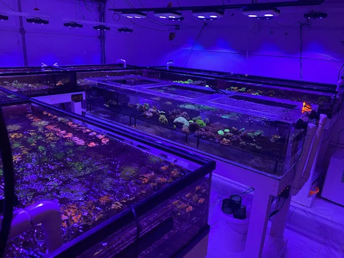 TRSCAquatics Picture 9