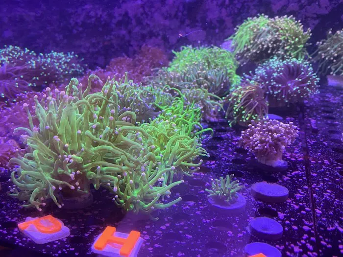 TRSCAquatics Picture 7